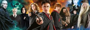 Games and Puzzles Harry Potter Jigsaw Puzzle - 1000 Pieces Discount