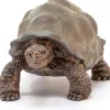 Schleich 14824 Giant Tortoise Outlet