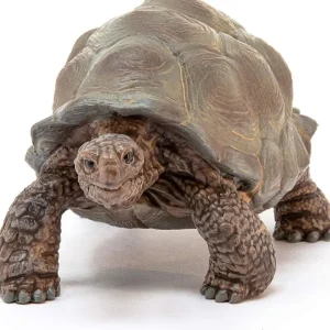 Schleich 14824 Giant Tortoise Outlet