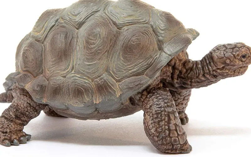 schleich__giant_tortoise_1.webp Schleich 14824 Giant Tortoise Outlet
