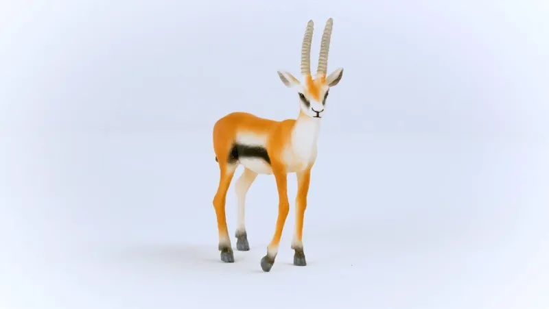 schleich__thomson_gazelle_1.webp Schleich 14861 Thomson Gazelle Best