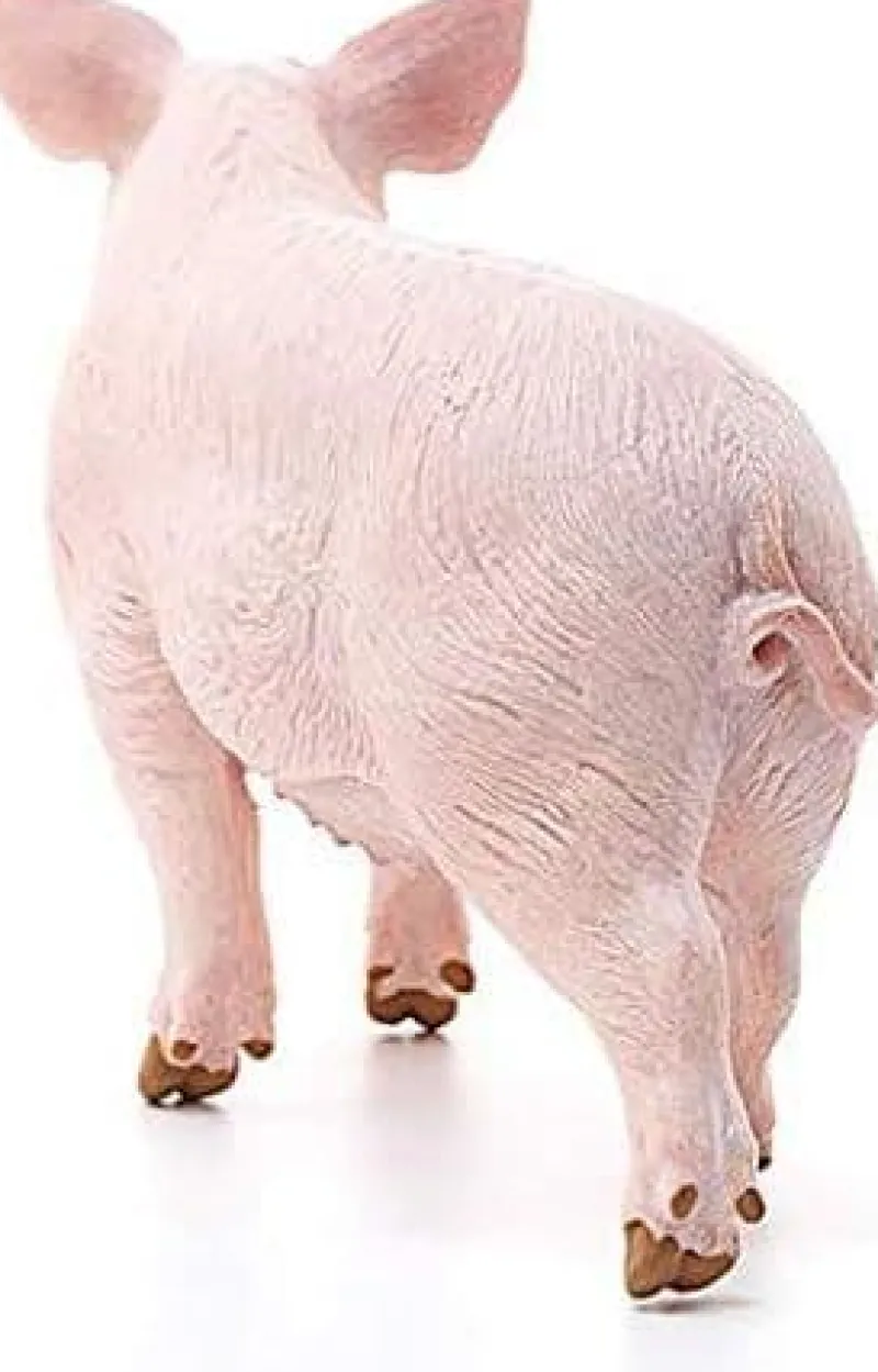 schleich_farm_world_pig_2.webp Schleich Farm World Pig Clearance